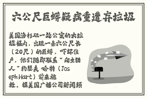 ** 在线观看
